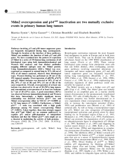 Mdm2 overexpression and p14ARF inactivation are two