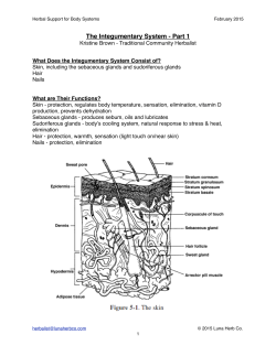 Integumentary System - Part 1