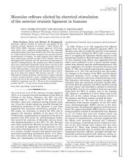 Muscular reflexes elicited by electrical stimulation of the anterior