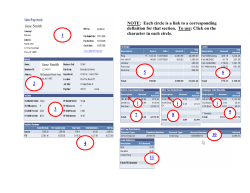 Understanding Your Electronic Pay Stub