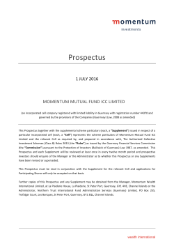Prospectus - Momentum Wealth International