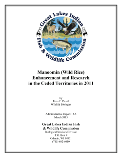 Manoomin (Wild Rice) Enhancement and Research in the