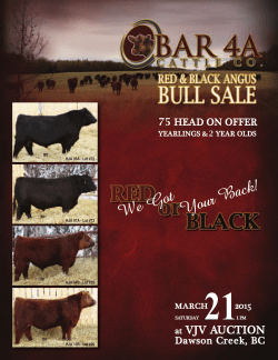 at VJV aUcTion - Bar 4A Cattle Co.