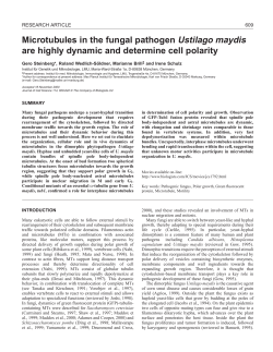 Steinberg et al., J. Cell Sci, 114:609
