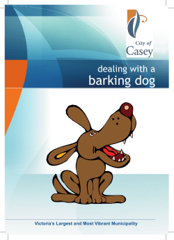 barking dog - City of Casey