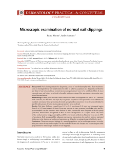 Microscopic examination of normal nail clippings