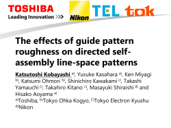 The effects of guide pattern roughness on directed self