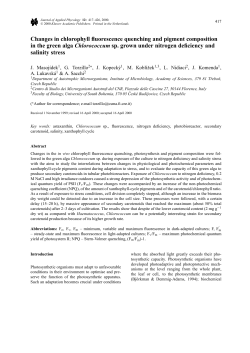 Changes in chlorophyll fluorescence quenching and pigment