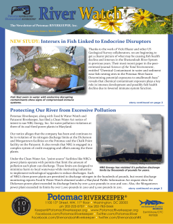 River Watch Spring 2013