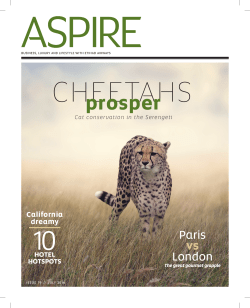 prosper - Cedar Tree PR