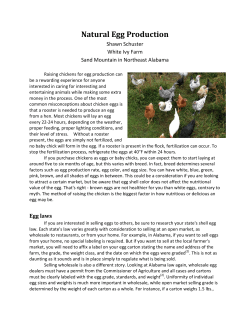 Natural Egg Production - Organic Growers School