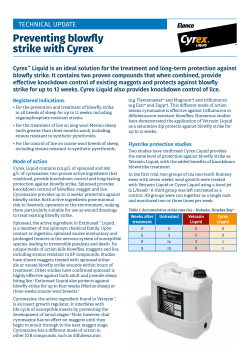 Preventing blowfly strike with Cyrex