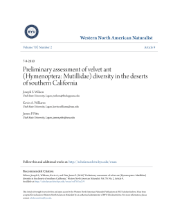 Preliminary assessment of velvet ant (Hymenoptera: Mutillidae