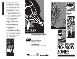 Naturalization Brochure