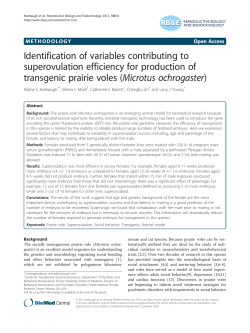 Identification of variables contributing to superovulation efficiency for