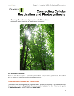 ConnectingCellularRespiration and Photosynthesis