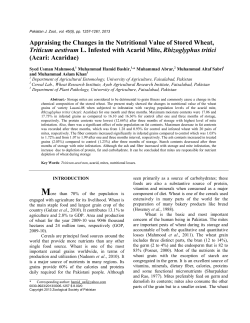 Appraising the Changes in the Nutritional Value of Stored Wheat