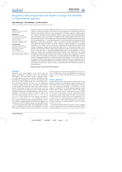 Apoptotic-like programed cell death in fungi: the benefits in