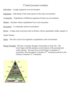 5th Grade Ecosystems Vocabulary