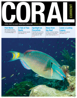 CURREN T - Coral Reef Alliance