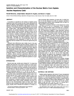 Isolation and Characterization of the Nuclear