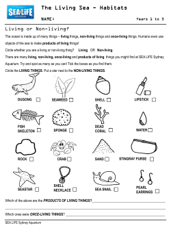 The Living Sea - Habitats
