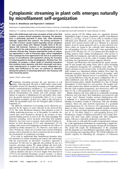 Cytoplasmic streaming in plant cells emerges naturally by