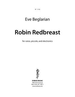 Robin Redbreast