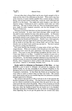 Ducks Useful in Arkansas as Scavengers of Red Rice