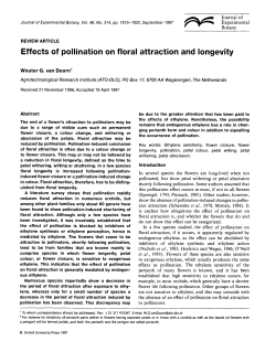 Effects of pollination on floral attraction and