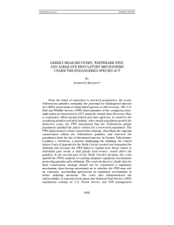 Grizzly Bear Recovery, Whitebark Pine, and Adequate Regulatory