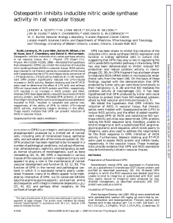 Osteopontin inhibits inducible nitric oxide synthase - AJP