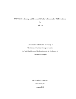 RNA Oxidative Damage and Ribosomal RNA Surveillance under