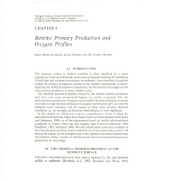 Benthic Primary Production and Oxygen Profiles