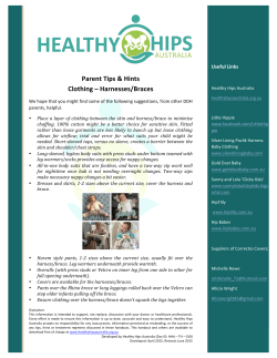 Harness and Brace Handout
