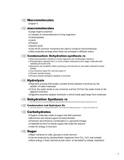 Macromolecules macromolecules Hydrolysis Dehydration Synthesis