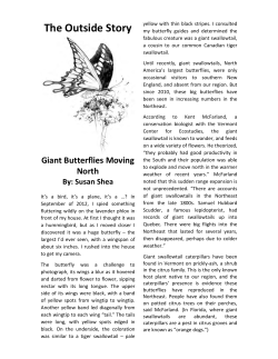 The Outside Story - Northern Woodlands