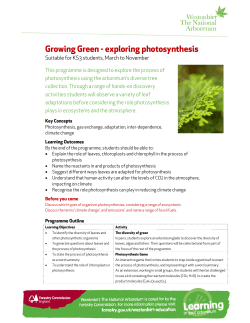 Growing Green - exploring photosynthesis