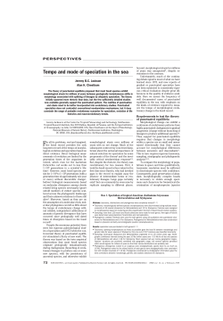 Tempo and mode of speciation in the sea