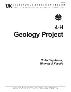 4DB-01PO: 4-H Geology Project