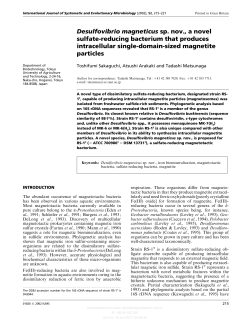 Desulfovibrio magneticus sp. nov., a novel sulfate