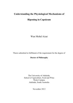 Understanding the Physiological mechanisms of ripening in capsicum