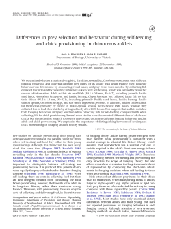 Differences in prey selection and behaviour during self