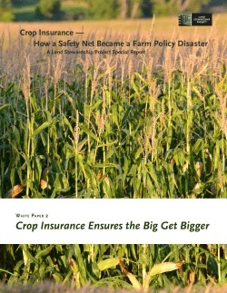 Crop Insurance Ensures the Big Get Bigger