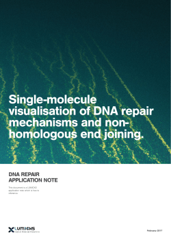 Single-molecule visualisation of DNA repair mechanisms and non