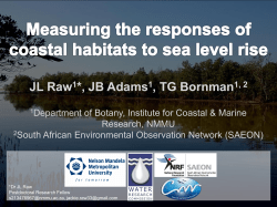 Measuring the responses of coastal habitats to sea level rise