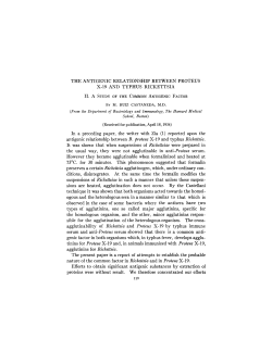 THE ANTIGENIC RELATIONSHIP BETWEEN PROTEUS X