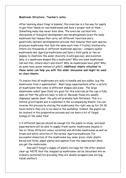 Mushroom Structure: Teacher`s notes After learning about fungi in