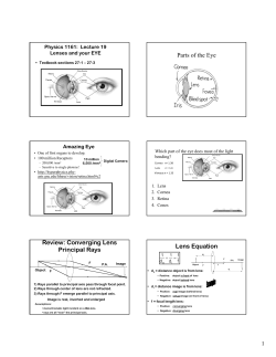 phy1161 19 eye magnifier handout