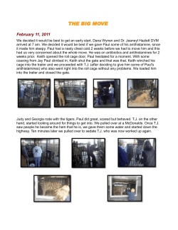 THE BIG MOVE - National Tiger Sanctuary